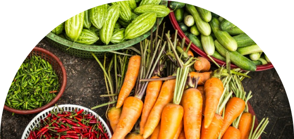 Etibarlı ərzaq təminatı hər bir ölkənin iqtisadi sabitliyinin və sosial dayanıqlılığının başlıca şərtidir. 