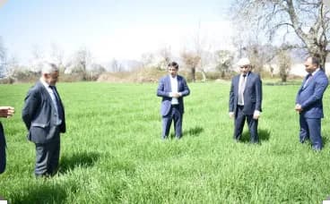 Aqrar Xidmətlər Agentliyinin sədri Sərdar Hacıyev Qəbələdə vətəndaşları qəbul edib, təsərrüfatlara baş çəkib