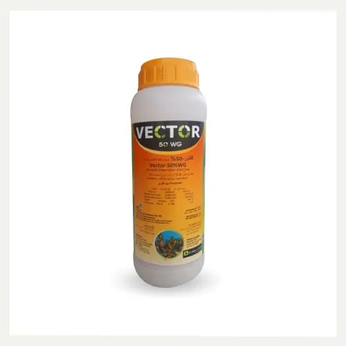 Vector 50 WG 600qr