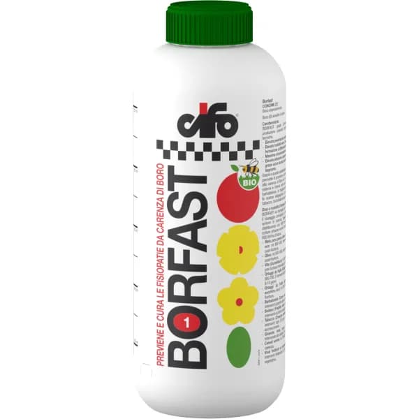 Borfast cifo