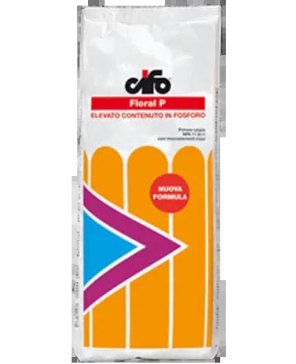 Floral P cifo