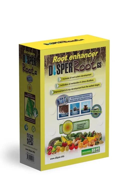 Disper Root bioglobal