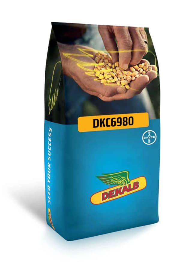DKC-6980