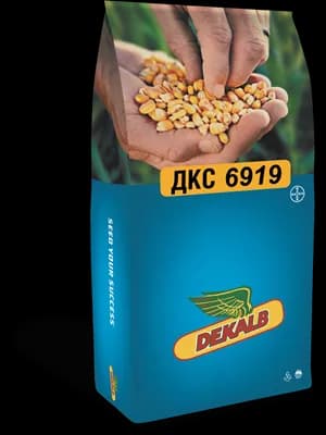 DKC-6919