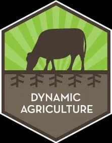 Dynam