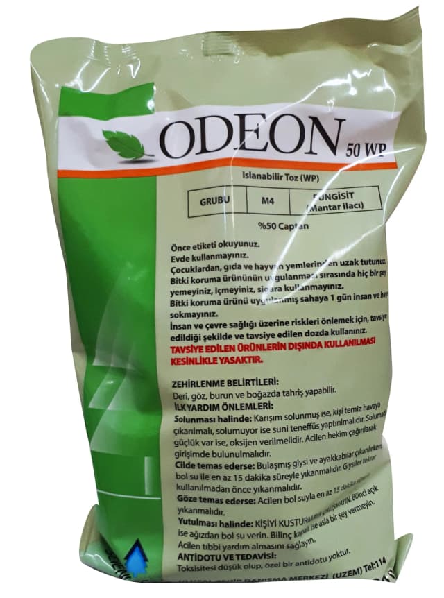 Odeon