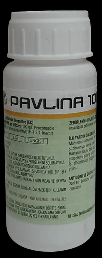 Pavlina 500cc