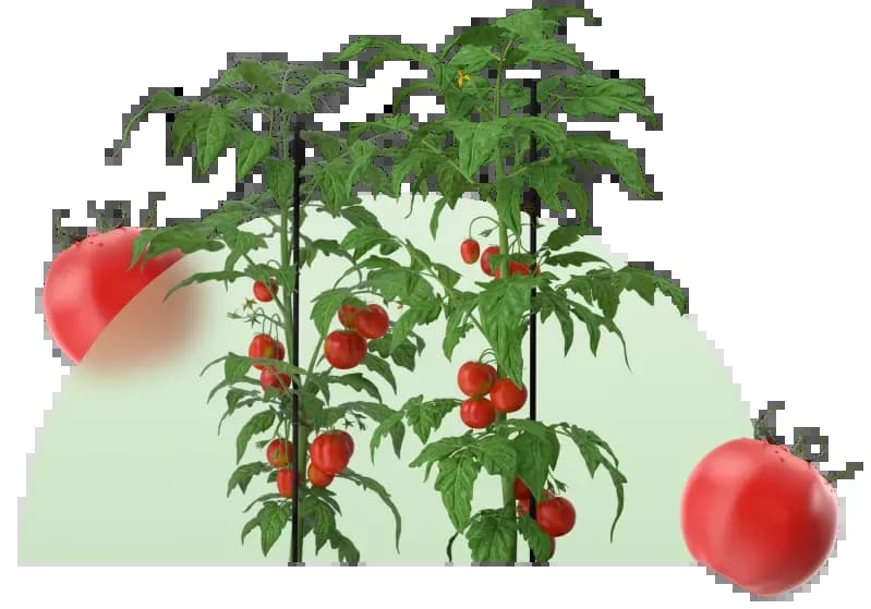 Torpağın hər rəngində biz varıq.