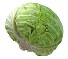 Cabbage